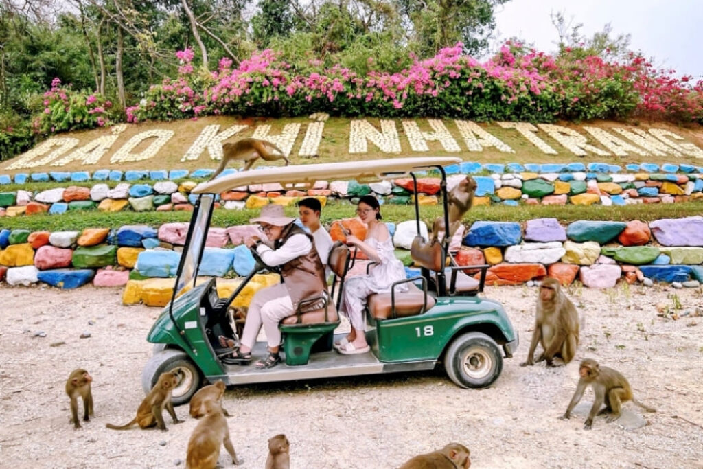 芽庄猴岛猴群与海岛自然环境