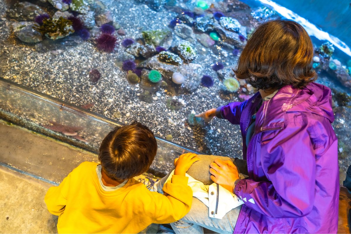 explore marine exhibits