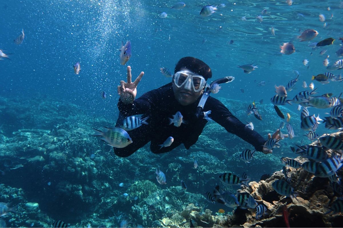 snorkelling in hon mun island
