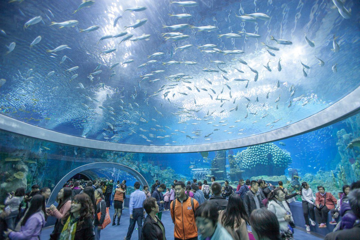 things to do in nha trang in rainy day