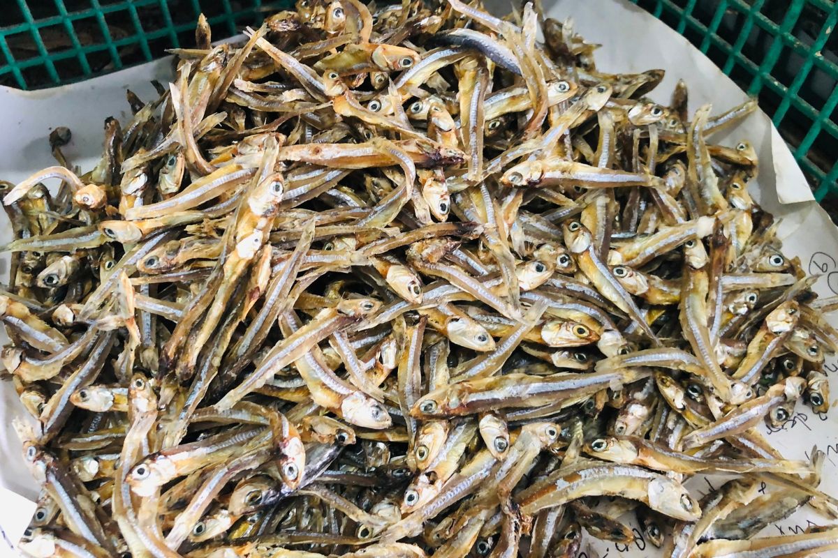 dried seafood